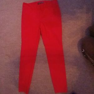 Dress pants